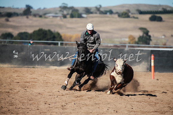 BungendoreCampdraft2016_0445