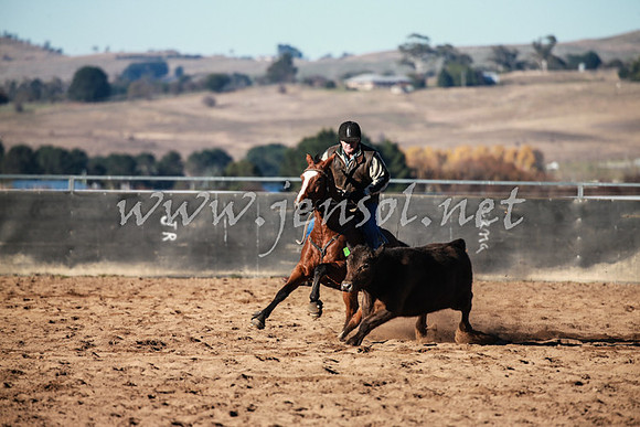 BungendoreCampdraft2016_0134