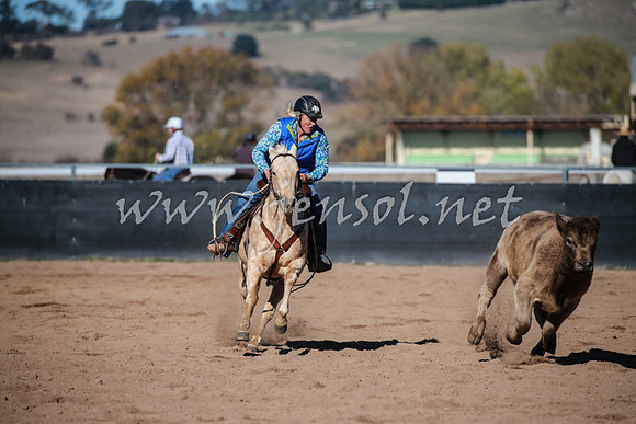 BungendoreCampdraft2016_0559