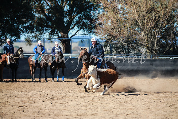 BungendoreCampdraft2016_0538