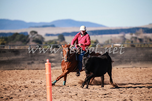 BungendoreCampdraft2016_0313