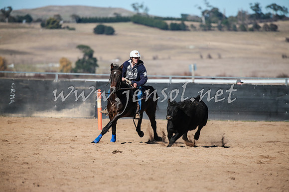 BungendoreCampdraft2016_0500