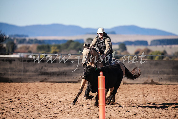 BungendoreCampdraft2016_0234