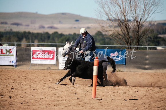 BungendoreCampdraft2016_0439