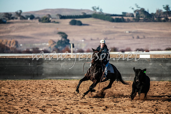 BungendoreCampdraft2016_0044