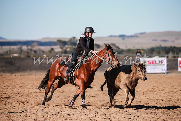 BungendoreCampdraft2016_0373