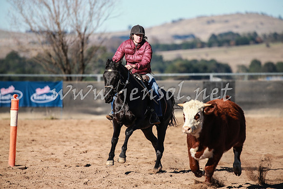 BungendoreCampdraft2016_0389