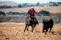 BungendoreCampdraft2016_0099