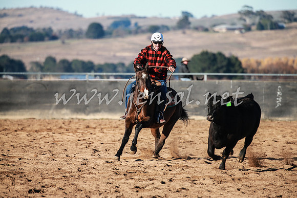 BungendoreCampdraft2016_0099