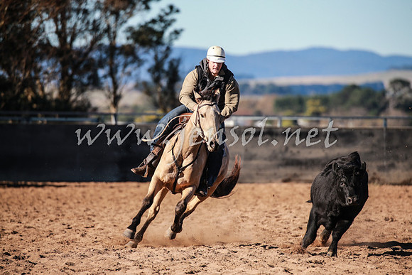 BungendoreCampdraft2016_0231