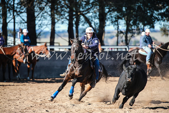 BungendoreCampdraft2016_0505