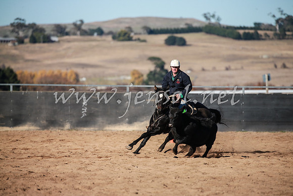 BungendoreCampdraft2016_0381