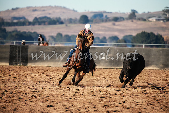 BungendoreCampdraft2016_0050