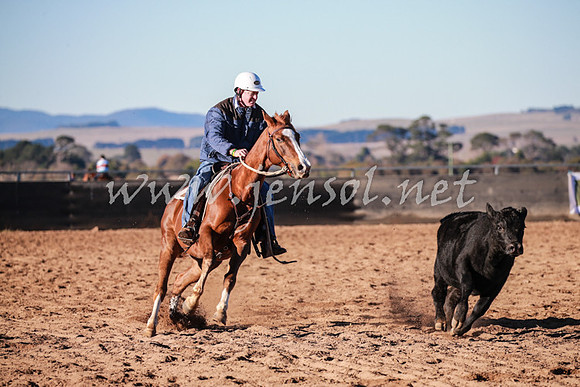 BungendoreCampdraft2016_0119