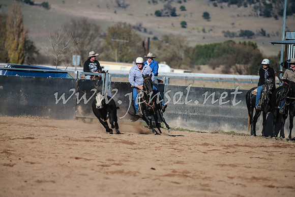 BungendoreCampdraft2016_0402
