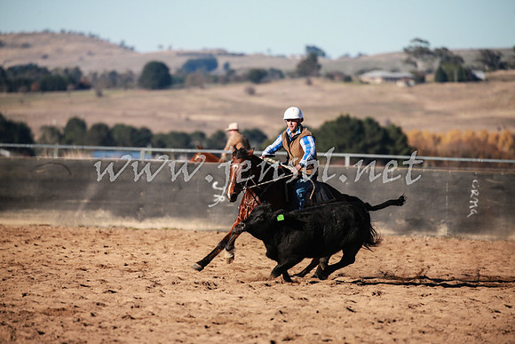 BungendoreCampdraft2016_0166
