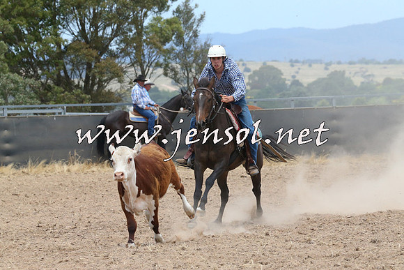 BraidwoodCampdraft2014_1178
