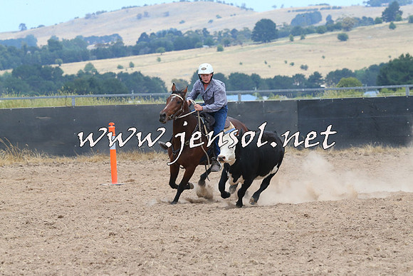 BraidwoodCampdraft2014_1205