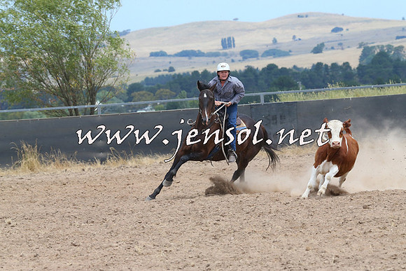 BraidwoodCampdraft2014_1265