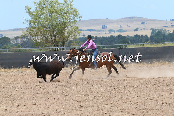BraidwoodCampdraft2014_1198