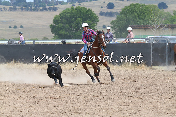 BraidwoodCampdraft2014_1306