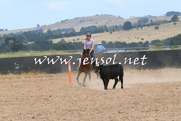 BraidwoodCampdraft2014_1241
