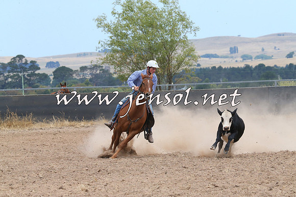 BraidwoodCampdraft2014_1224