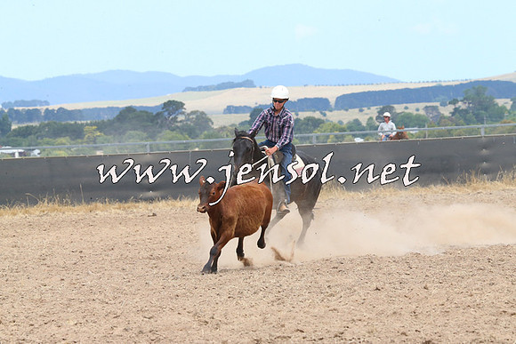 BraidwoodCampdraft2014_1269