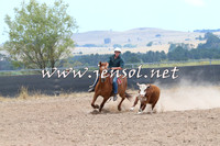 BraidwoodCampdraft2014_1164