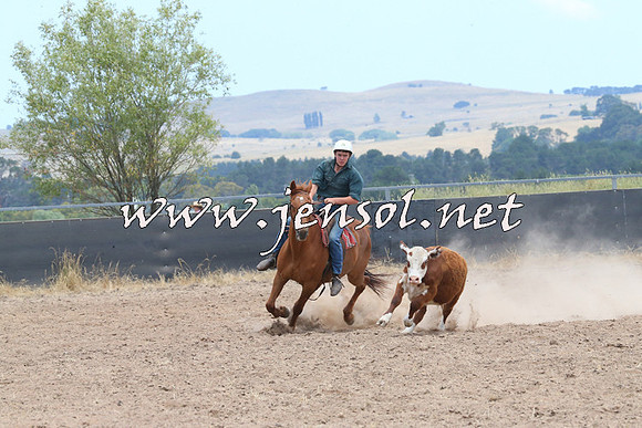 BraidwoodCampdraft2014_1164