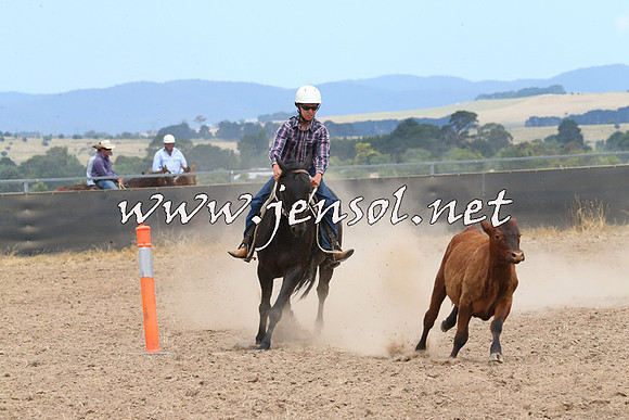 BraidwoodCampdraft2014_1275