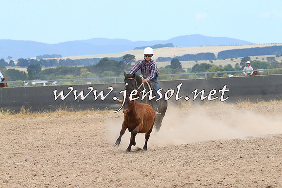 BraidwoodCampdraft2014_1266
