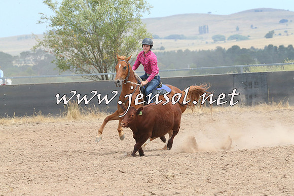 BraidwoodCampdraft2014_1310