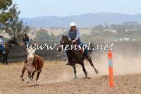 BraidwoodCampdraft2014_1179