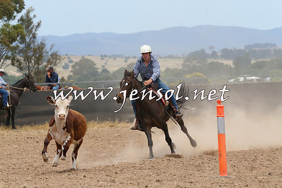 BraidwoodCampdraft2014_1179