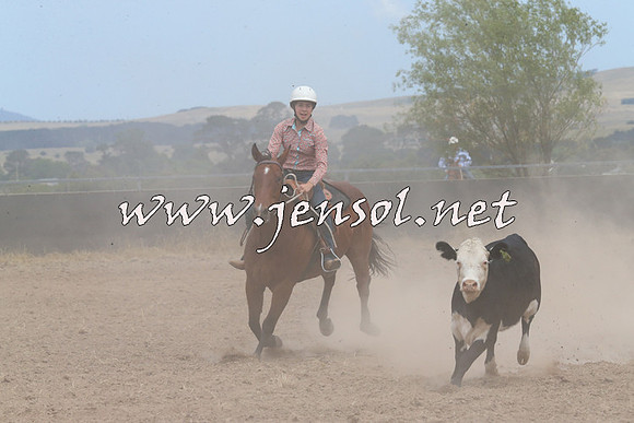 BraidwoodCampdraft2014_1252