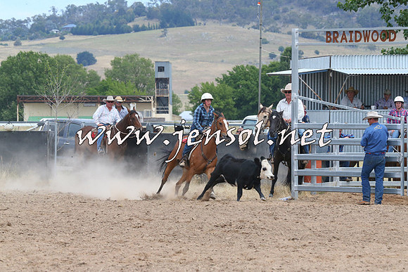BraidwoodCampdraft2014_1258