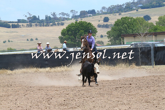 BraidwoodCampdraft2014_1192