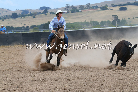 BraidwoodCampdraft2014_1248