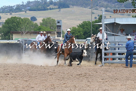 BraidwoodCampdraft2014_1257