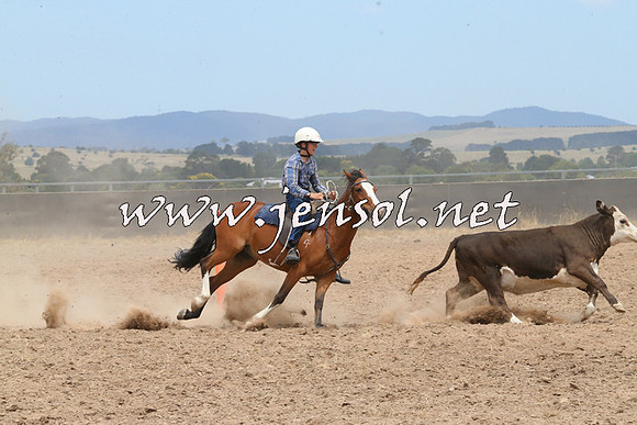 BraidwoodCampdraft2014_1238