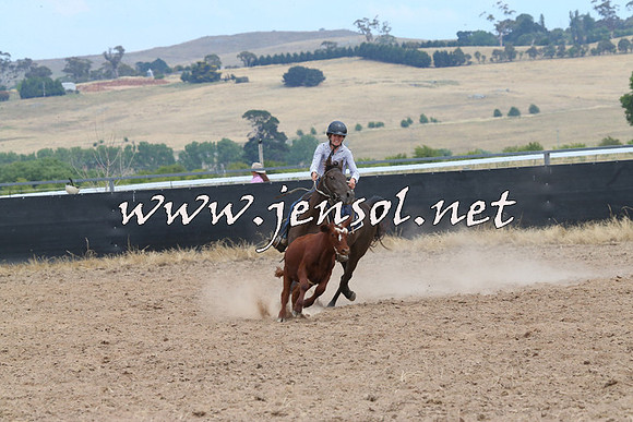 BraidwoodCampdraft2014_1262