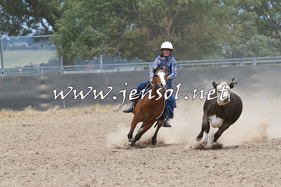BraidwoodCampdraft2014_1229