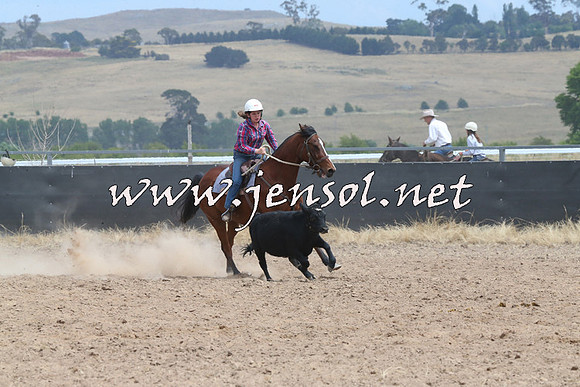 BraidwoodCampdraft2014_1302