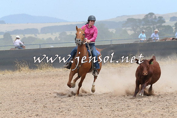 BraidwoodCampdraft2014_1317