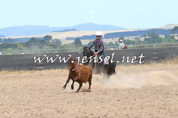 BraidwoodCampdraft2014_1271
