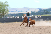 BraidwoodCampdraft2014_1165