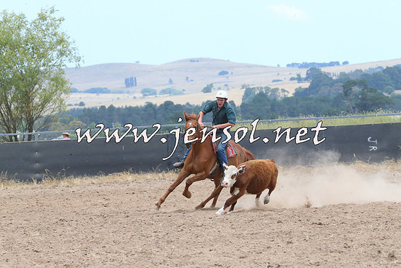 BraidwoodCampdraft2014_1165
