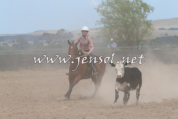 BraidwoodCampdraft2014_1254