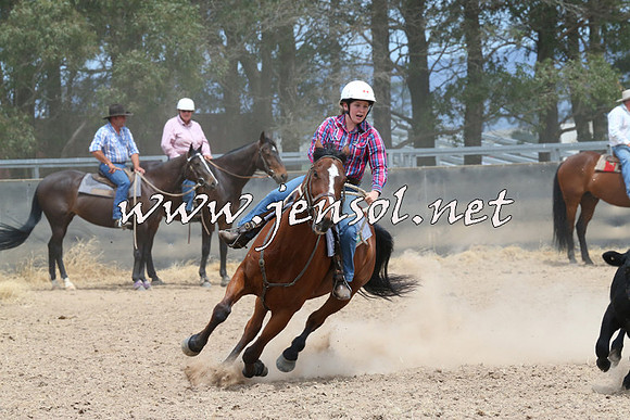 BraidwoodCampdraft2014_1309